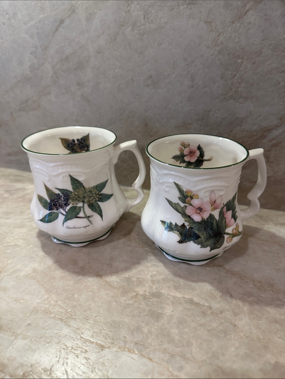 David Michael China Staffordshire Botanical Mugs Set of 2 Fine Bone China Englan